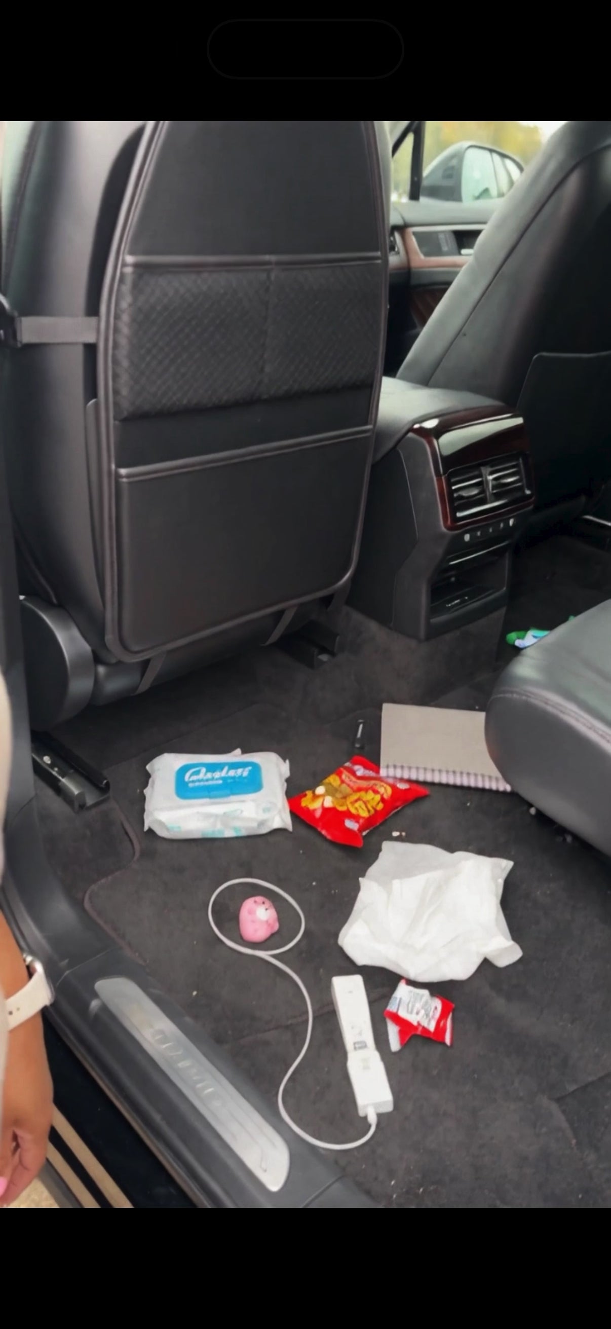 Backseat Butler
